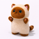 Kis cica - T25